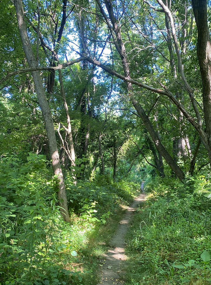 Wooded trail at Greenbury Point, MD